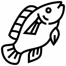 Tilapia Project of Rgca