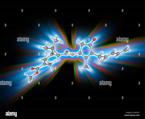 Image result for Pyrethrin Case