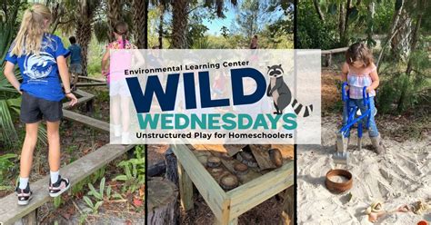 Wild Wednesdays - Unstructured Play for Homeschoolers, 255 Live Oak Dr ...