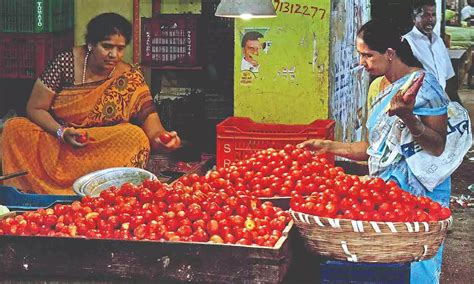 Summer heat effect: Tomato prices likely to rise as Andhra stops ...