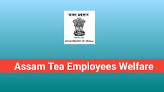 Assam Tea Employees Welfare Board Recruitment – Account Manager Post ...