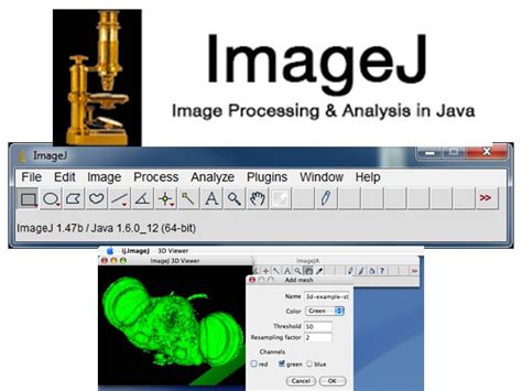Image result for ImageJ Software Java Version 8