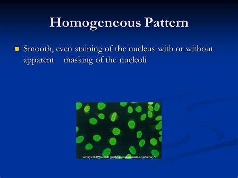 Image result for Homogeneous Pattern