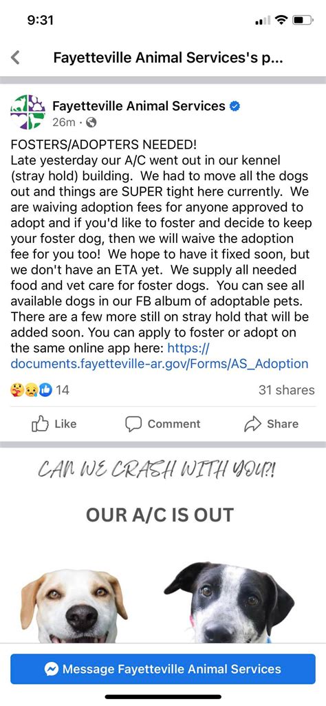 Fayetteville Animal Services : r/fayetteville