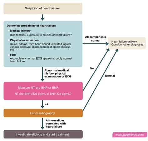 Heart failure: Causes, types, diagnosis, treatments & management – Cardiovascular Education