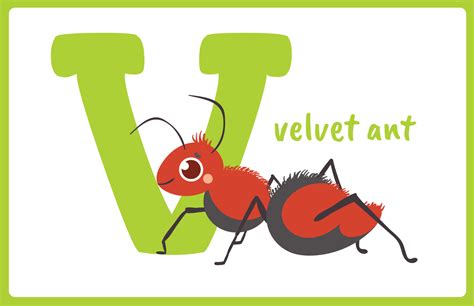 Image result for Insect V Insect