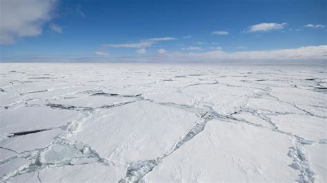 What is Frost Quake and how does it occur? - BuzzEnviro.com