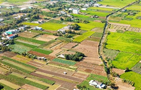 TN-GIS App: இந்த ஒரு மொபைல் ஆப் போதும்... நில ஆவணங்கள், சர்வே எண் ...