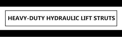 Tomei 22A0537 Diggi/Tailgate Hydraulic Lift Struts Compatible with ...