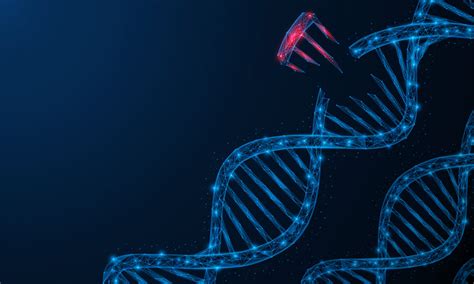 Interesting Genetics 的图像结果