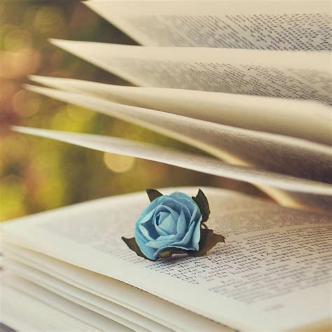 数据开放 的图像结果