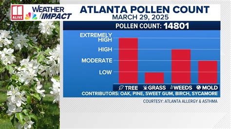 Atlanta pollen count hits all time record high Saturday March 29 ...