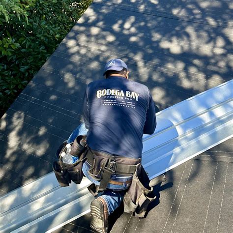 Image result for Tree Rot Damage Repair