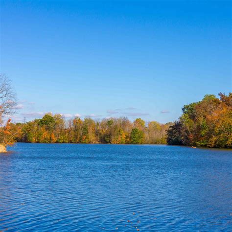 SHARON CREEK CONSERVATION AREA (2025) All You Need to Know BEFORE You ...