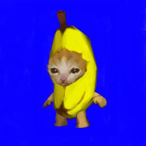 Image result for Cat Writing Python Code