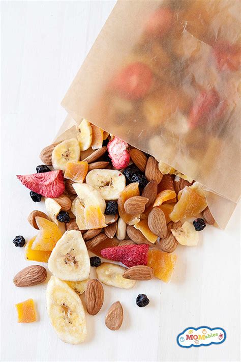 Homemade Trail Mix with Dried Fruit a Kid-Favorite! | MOMables