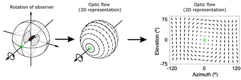 Optical Flow Analysis 的图像结果