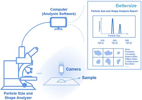 ImageJ Particle Analysis 的图像结果