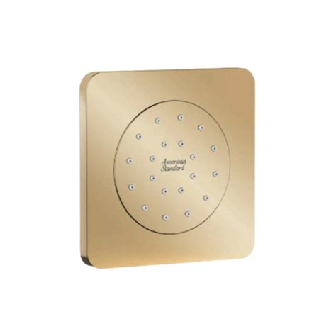 American Standard Single Flow Shoulder Shower FFASS054-000GL0BC0 - Cool ...