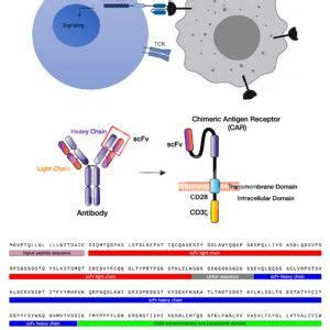 Mouse Cart Cell Image 的图像结果