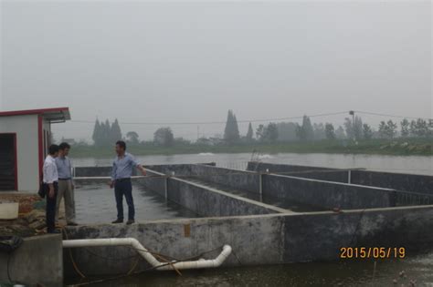 江苏扬州市水产专家在江都指导池塘循环流水养殖_水产快讯（循环水养殖）_水产养殖网