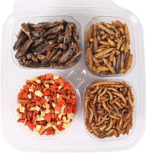 Buy Hedgehog Treat Variety Pack - Healthy Natural Treat Assortment ...