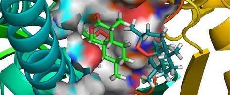 Supercomputing Facility for Bioinformatics & Computational Biology, IIT ...