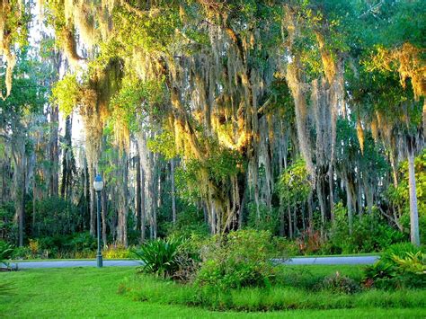 THE 30 BEST Places to Visit in Wesley Chapel (2025)