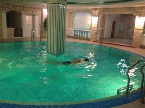 HOTEL MIRAGE (Sudovaya Vishnya) - Hotel Reviews, Photos, Rate ...