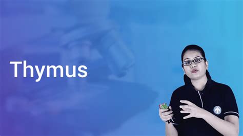 Thymus in Hindi | Biology Video Lectures