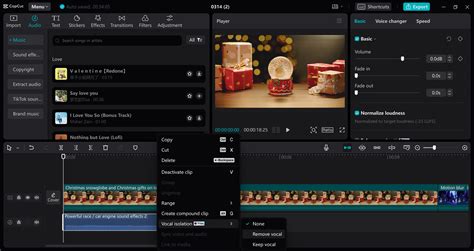Creating Instrumentals with Ease: How to Remove Vocals Using Audacity