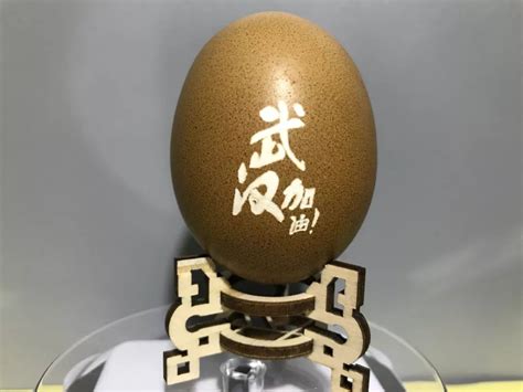 叹为观止！上海蛋雕艺术精品展展现薄卵上雕刻的大世界