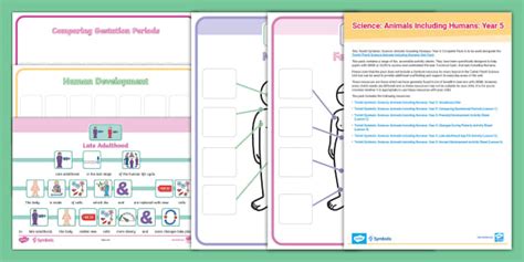Science Sign Twinkl 的图像结果