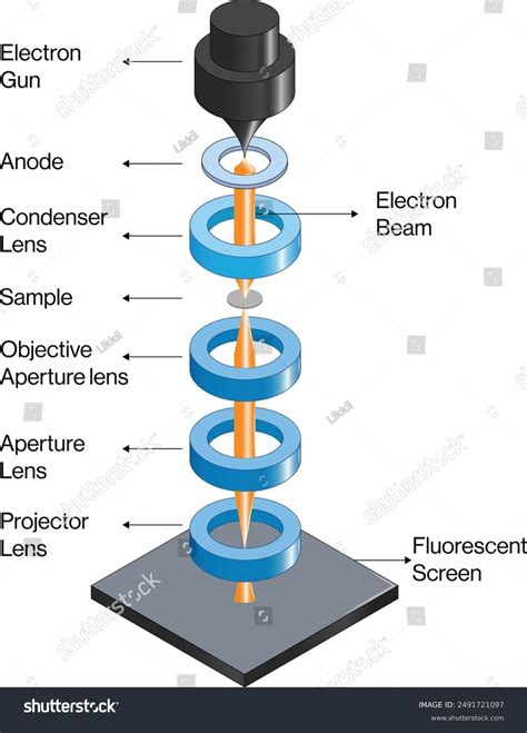 Electron Microscope 的图像结果