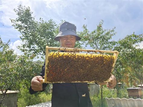 詹氏养蜂场蜂蜜产品包装整合设计_食品包装设计公司,广州北斗设计有限公司