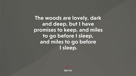 The woods are lovely, dark and deep, but I have promises to keep, and ...