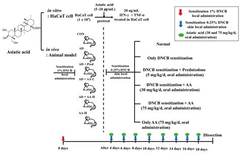 Immunomodulatory and Anti-inflammatory Effects of Asiatic Acid in a ...