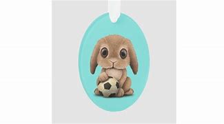 Image result for Really Cute Baby Bunny