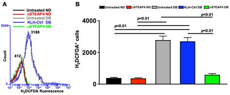 Diabetes-Mediated STEAP4 Enhances Retinal Oxidative Stress and Impacts ...
