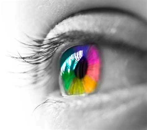 Image result for Color Vision