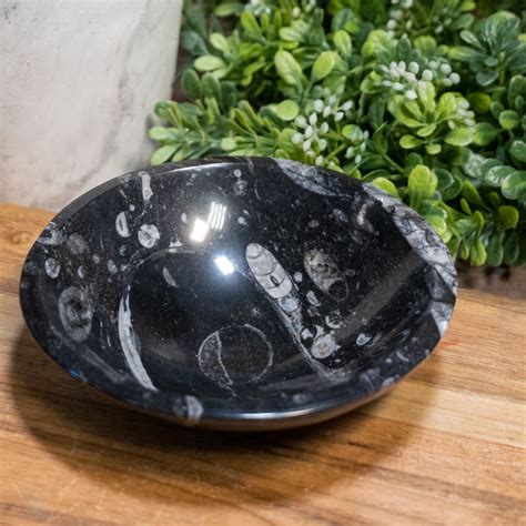 Orthoceras Bowl - Certified Orthoceras Fossil Kuber Bowl with Certific ...