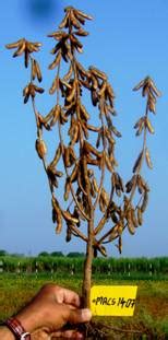 Press Release: Press Information Bureau