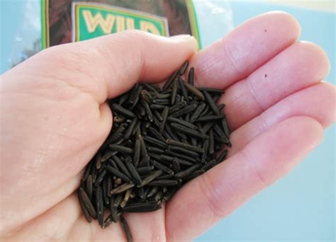 Good Product: Trader Joe’s Wild Rice | Kitchn