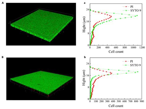 Characterization and Multi-Omics Basis of Biofilm Formation by ...