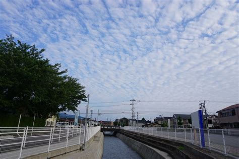 Image result for Start Algorithm Blocks