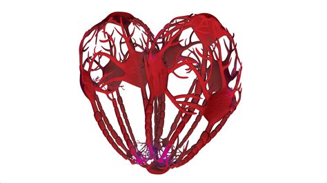 El Concepto Del Amor Instituto Alexander Dul On X: "El Concepto Es