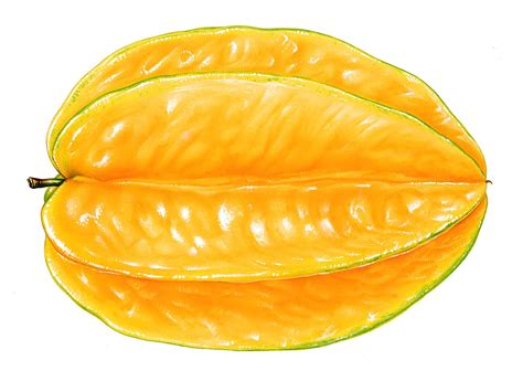 Download Yellow Orange Star Fruit Wallpaper | Wallpapers.com
