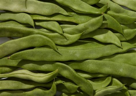 Flat Green Beans