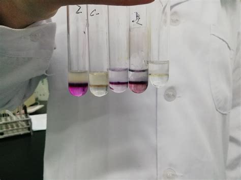 Reagent Types and Examples 的图像结果