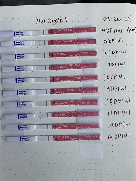 Rezultat imagine pentru Trigger Test